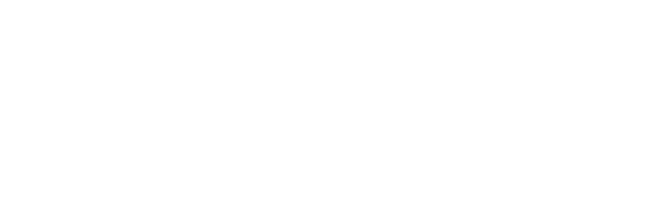 Logo_wppi 2024 - white (1)